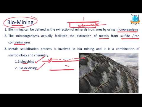 What is Bio Mining ? || Bio Mining అంటే ఏమిటి?