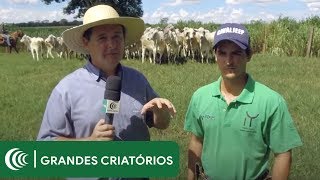 Miniatura do vídeo