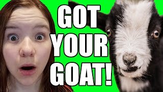 OMG I'VE GOT YOUR GOAT! Official Video | Babyteeth More!