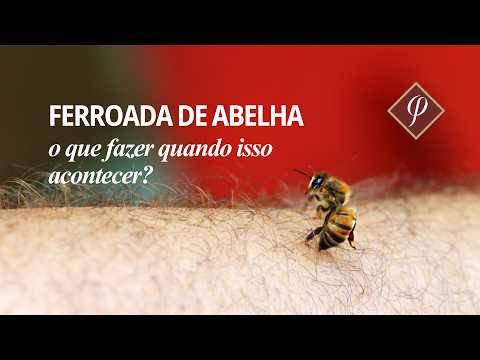 Humberto Antônio Ponzio-28