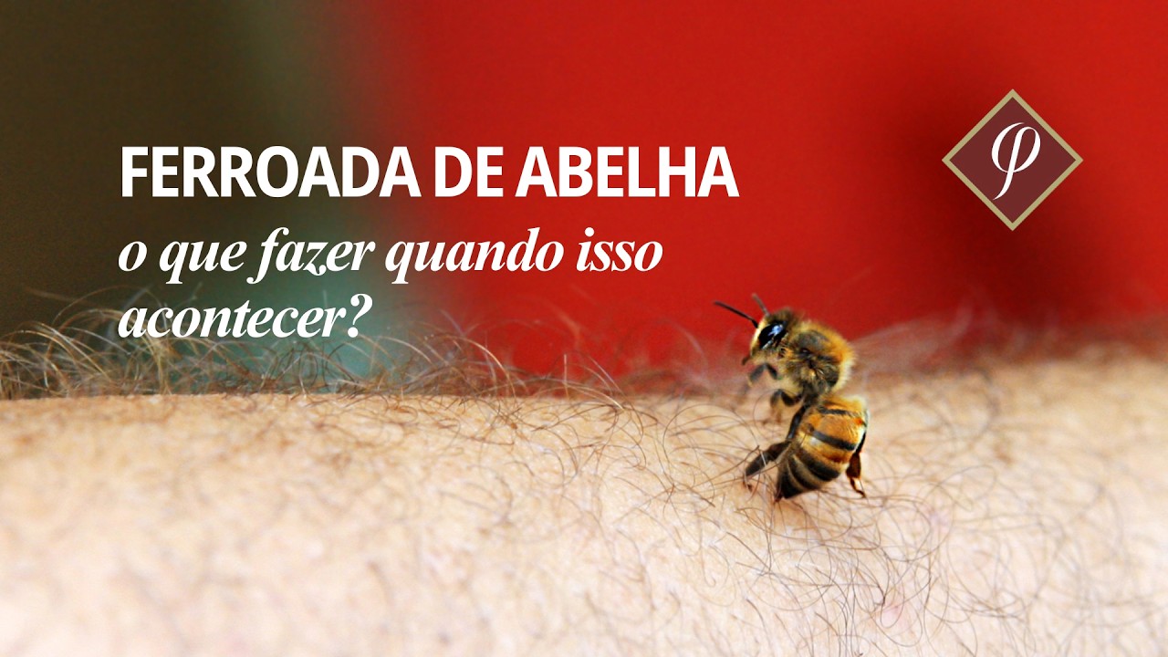 Humberto Antônio Ponzio-28