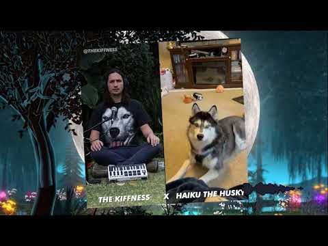 The Kiffness X Haiku The Husky - Ancient Husky Melody (DJ Yan Remix)