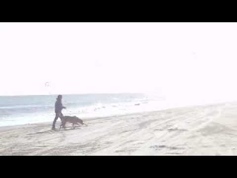 Tex's first trip to beach sabine pass mcfaddin