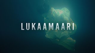 Sajjan Raj Vaidya - Lukaamaari Official Music Vide