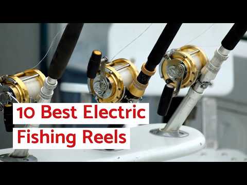 10 Best Electric Fishing Reels (For The Money) » 2020 Review