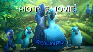 [4K] Rio「Edit」(Real in Rio)
