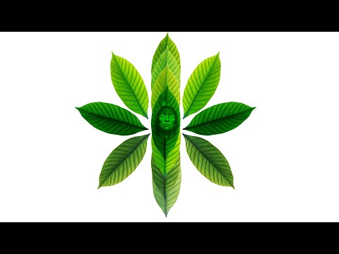 Dois Sóis  - Sete Caboclos de Cura / Deva Das Baul (Hinário Sete Linhas) - #musicamedicina