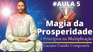 #5 Princípios Esotéricos no Milagre da Multiplicação - Por Caciano Camilo Compostela