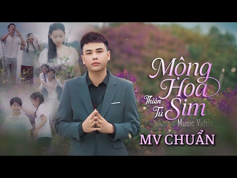 MỘNG HOA SIM | THIÊN TÚ | NEW VERSION 2025 | MV Chính Thức| Cả Một Trời Thương Nhớ Quay Về