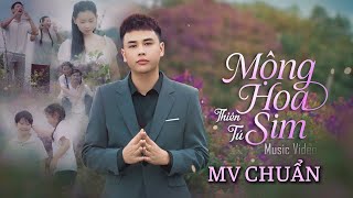 MỘNG HOA SIM | THIÊN TÚ | NEW VERSION 2025 | MV Chính Thức| Cả Một Trời Thương Nhớ Quay Về 