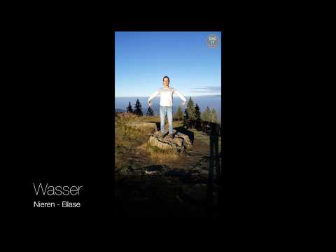 Dao-it 6 Basisübungen Meridian Qigong