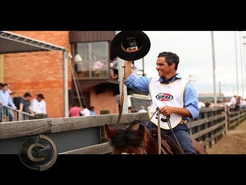 Vencedores nas Fêmeas! Bocal de Ouro 2016.