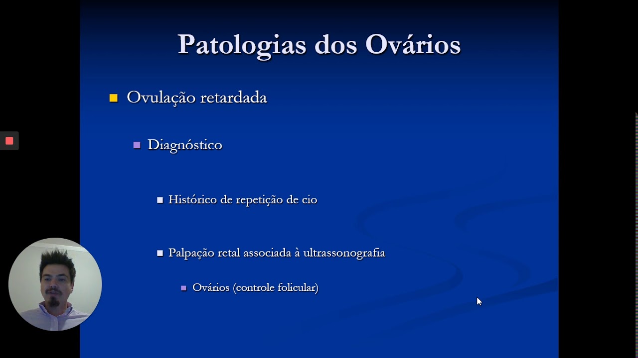 Patologias dos ovários