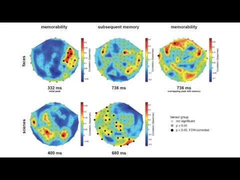 Visual memorability: From what we perceive to what we remember