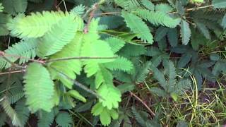 Download lagu VID 20130822 00001 mp3 Download lagu VID 20130822 00001 mp3