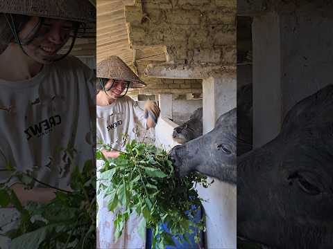 tình yêu thương của mẹ là vô giá