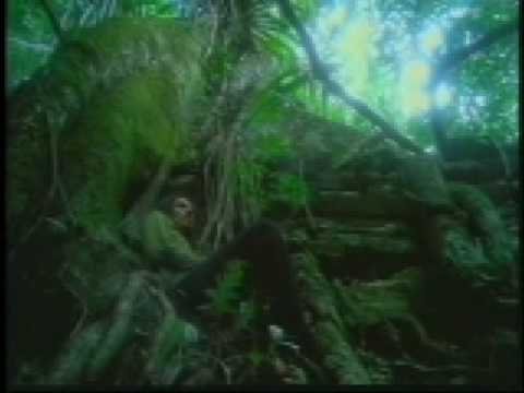 Dime Jaguar - Jaguares