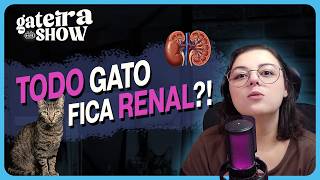 TODO Gato Vai Ficar RENAL!?  | Gateira Live Show #027