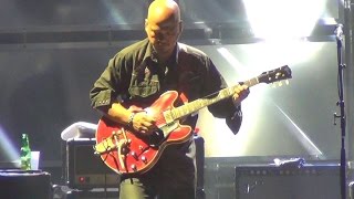 The Pixies - Motorway to Roswell - Live Beauregard 2014