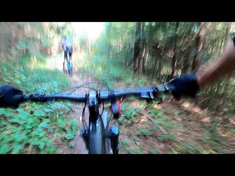 Hirschberg  - Altstätten