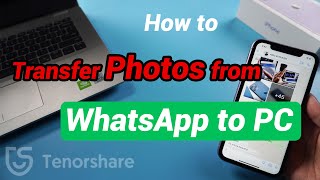 How to Transfer Photos from WhatsApp to PC 2020