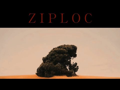 Tyler, The Creator - ZIPLOC (Extended)