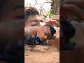 GUNTURU KAARAM Anilannamediaworks Gunturukaram Maheshbabu Youtubeshorts Sabscribe Like