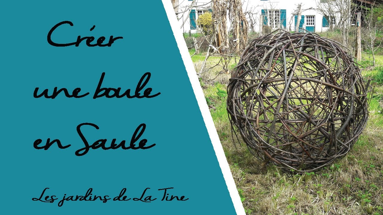 Comment créer une boule de saule - Les jardins de La Tine