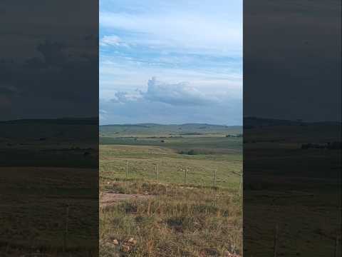 Camino entre ruta 7 y pueblo Centurión , departamento de Cerro Largo , Uruguay , videitos 🇺🇾 .