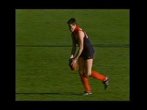 Sean Wight - Melbourne - 3 goals v Collingwood - 1988 Semi Final - VFL Park - MCG