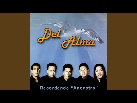 Olvídame video