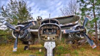 Biosphere   Kobresia (1997)