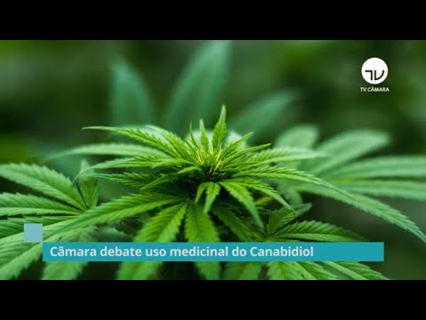 Secretaria de Relações Internacionais debate o uso medicinal do Canabidiol – 16/09/20