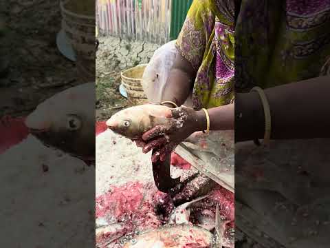 Authentic Shutki Pack