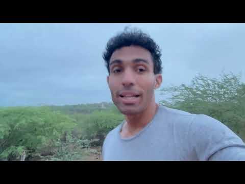 2026: O ÚLTIMO ANO para construir riqueza (A janela está fechando)