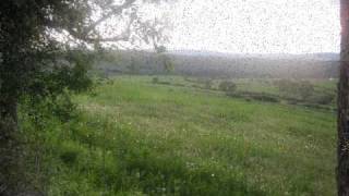 Ardian Isufi - Dëshmorët E Shtuticës