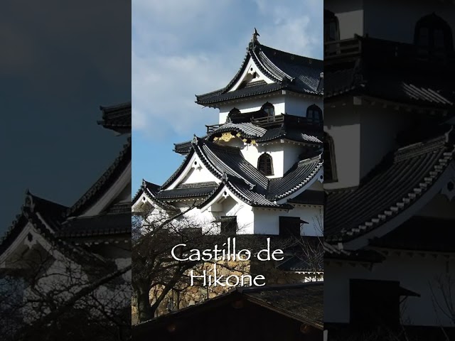 Vídeo relacionado con lachineuse – Maneki Neko dorado con brazo que se mueve – Estatua de gato japonés – Estatuilla de 17 cm con brazo móvil – Objeto Kawaii Deco Oro – Idea de regalo Japón Asia – Suerte, Felicidad, fortuna