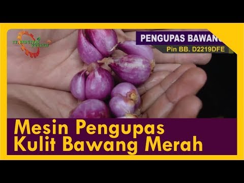 Aphrodisiacs Ulasan Lovelace ditingkatkan potensi