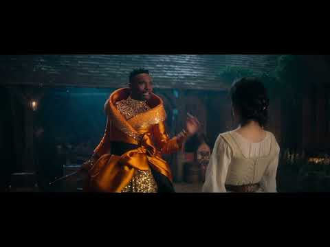 "Cinderella" - Shinning Star Biz Woman