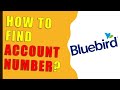 How to find Bluebird account number?
