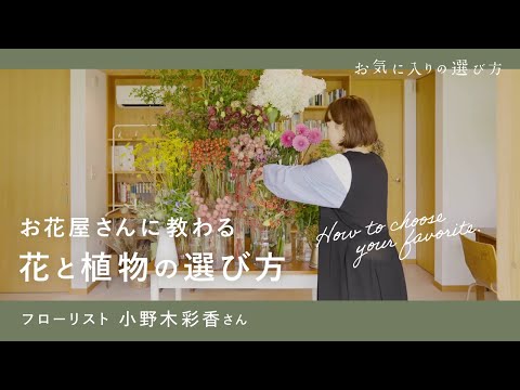 , title : '花と花瓶、観葉植物を選ぶコツ【お気に入りの選び方】｜01フローリスト・小野木彩香さん'