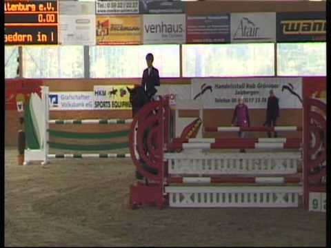 ZAMINTA - Cormint x Alboretto, Geb. 2007, Holsteiner Stute