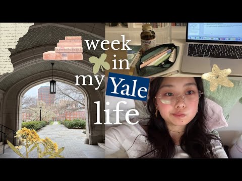 uni vlog @ yale 📔⭐️: finals week prep, late night studying, bulldog days shows