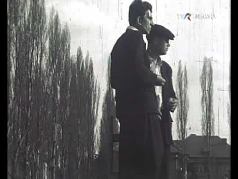 Anii '50- '60: Fotbalul era pe arena Știința. Atmosfera: inegalabilă #InPrelungiri @TVRTM