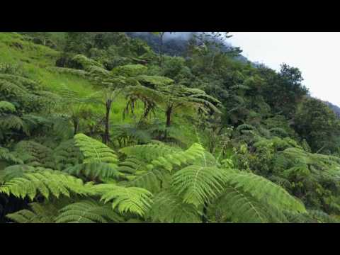 IncaDivide 2017 checkpoint 1 from the sky