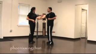 Siu Lim Tao Instructional Video Jum Sao