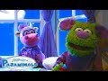 Lullaby Songs Music For Kids Pajanimals