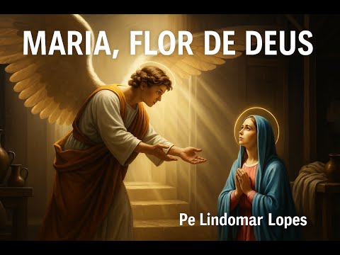 Lindomar Lopes - Santos - Padres
