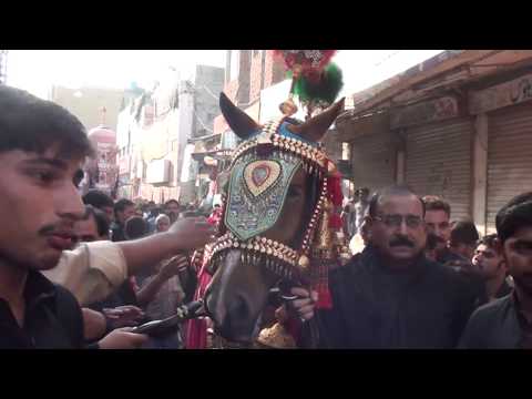 Markazi Jaloos Hafizabad 10 Muharram 1439 2017 2018