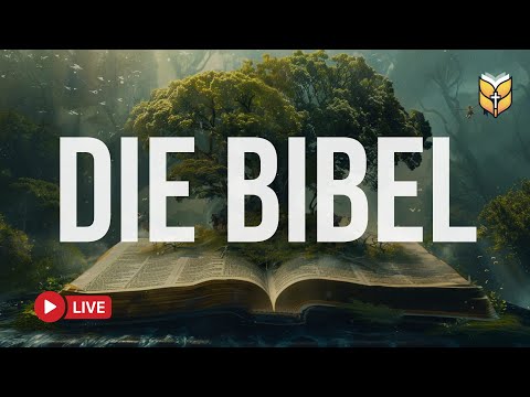 🔴 Gottes Wort für jeden Tag – Bibellesung Live 24/7
